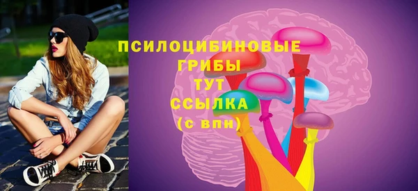 MDMA Новозыбков