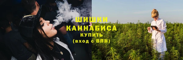гидропоника Новодвинск