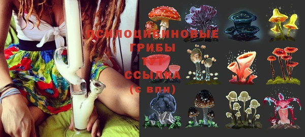 тгк Новокубанск