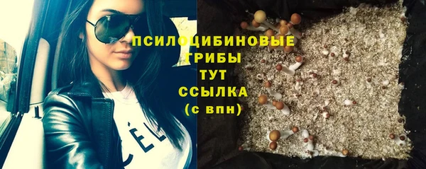 MDMA Новозыбков