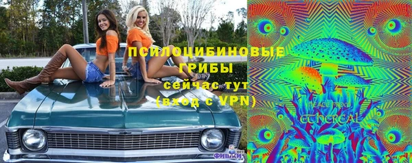 MDMA Новозыбков