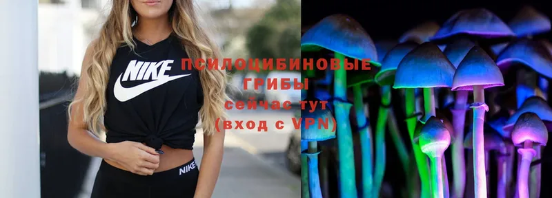 Псилоцибиновые грибы Magic Shrooms  Павлово 