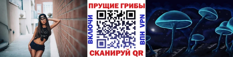 Псилоцибиновые грибы прущие грибы  купить   мориарти наркотические препараты  Павлово 